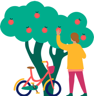 Woman picking apples from a tree